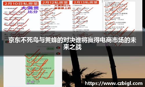 DB电竞京东不死鸟与黄蜂的对决谁将赢得电商市场的未来之战